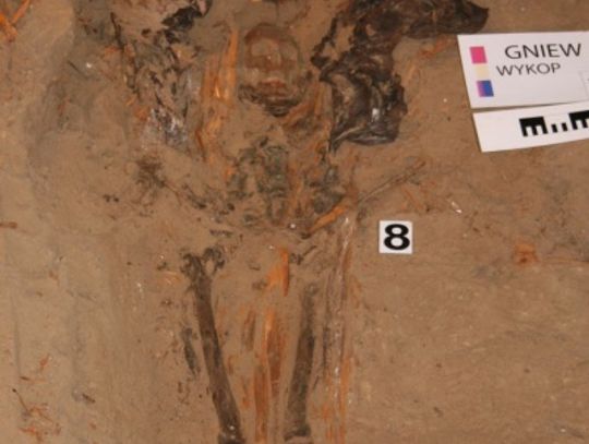 Jedzenie w... grobie. Pogańskie obrządki w XVII wieku! Wykopaliska w gniewskim kościele św. Mikołaja