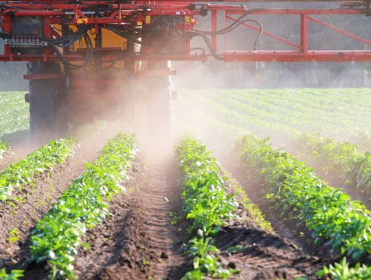 Jesienne zwalczanie chwastów od 1. liścia zbóż