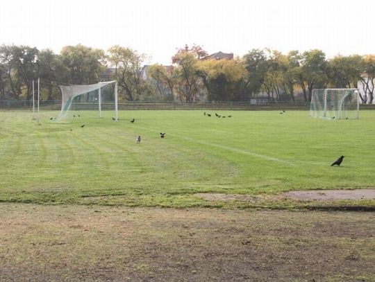 Jest szansa na środki ministra na budowę stadionu w Tczewie! Gorzej z rozbudową basenu