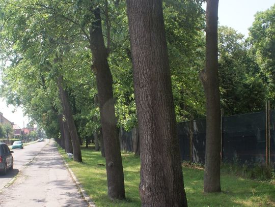 Jest zarzut dla mężczyzny, w sprawie pobicia w parku 