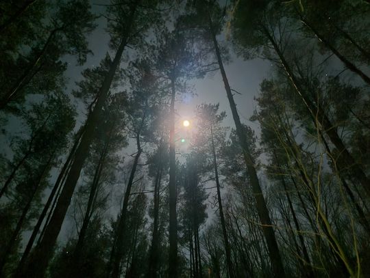 Już w weekend Nocny Rajd na Orientację Malo '25