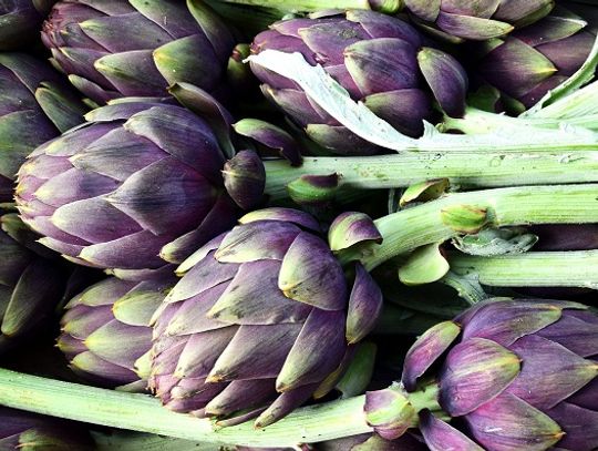 Karczoch i owoce camu camu – kiedy warto je brać?