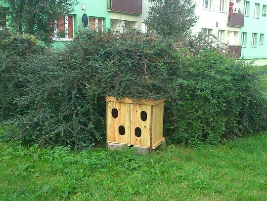Komu przeszkadza koci domek na Czyżykowie?