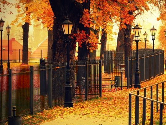 Konkurs fotograficzny – do wygrania 3,5 tys. zł