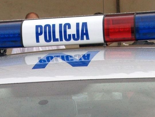 Kradzież audi na procentach i kraksa z płotem