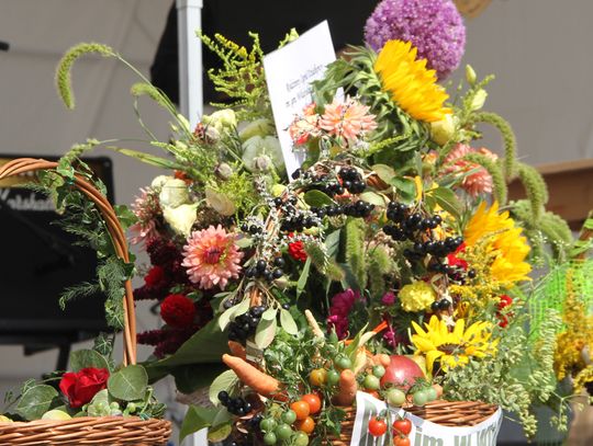 Krajowe Dni Działkowca!