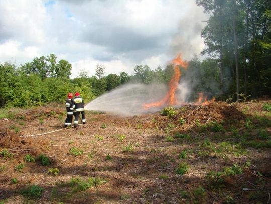 Krytyczna sytuacja w lasach, także w powiecie tczewskim. Obowiązuje najwyższy stopień zagrożenia