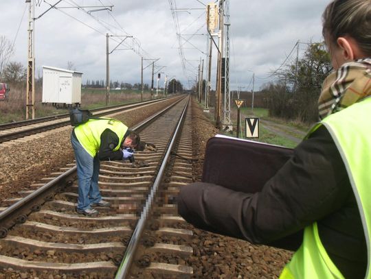 Kto w Czarlinie morduje psy?