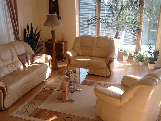 Kupować mieszkanie w czasie epidemii czy lepiej poczekać?