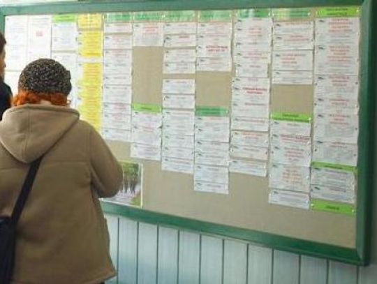 Magazyn, gastronomia, stacja paliw. Szukasz pracy? Oferty tczewskiego PUP