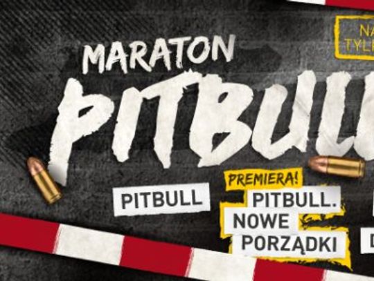 Maraton Pitbulla w Kinie Helios!