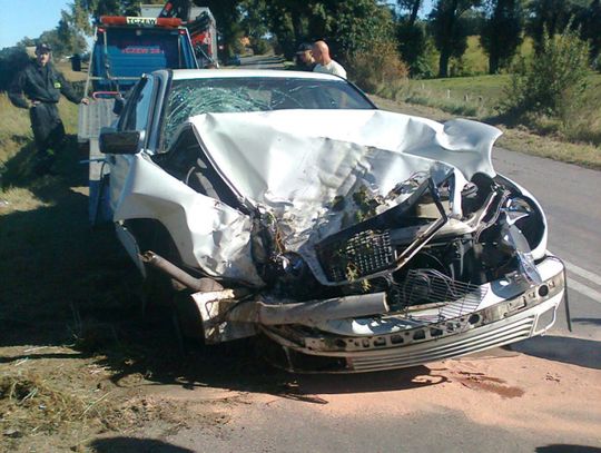 Mercedesem w drzewo w Turzy