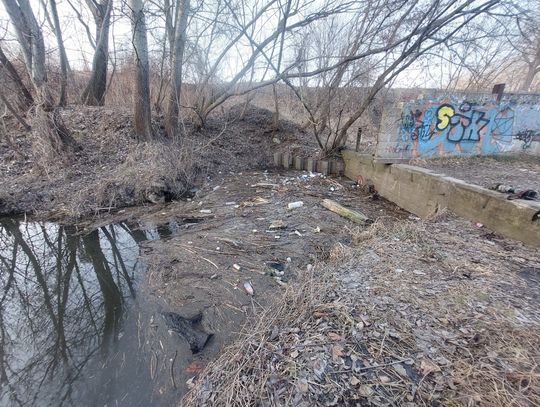 Mieszkańcy posprzątali Kanał Młyński. Społeczna akcja z wsparciem firmy Oiler S.A.
