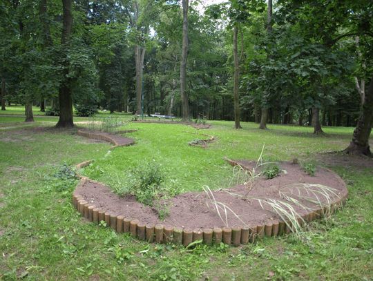 Mieszkańcy pytają: kiedy w Parku Miejskim powstanie ścieżka zdrowia?