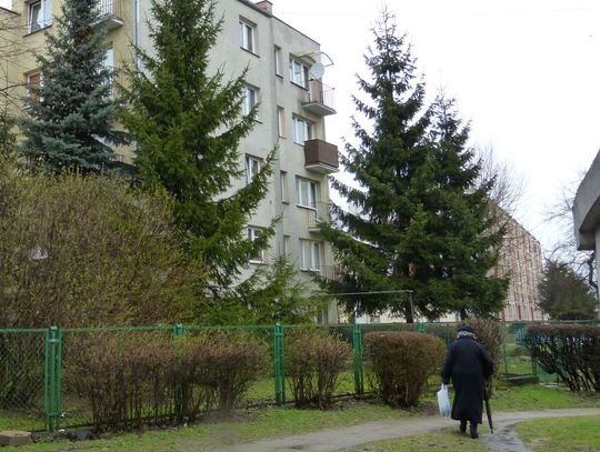 Morderstwo na Czyżykowie czy „makabryczna” plotka?