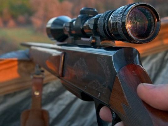 Myśliwy strzelił do myśliwego! Tragedia podczas polowania