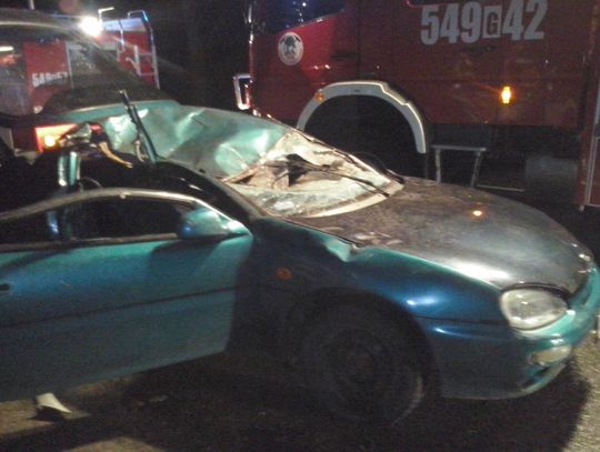 Na "jedynce" drzewo spadło na samochód. Jedna osoba ranna