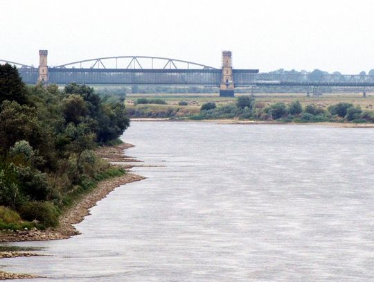 Na luzie: Pełnomocników jak „mrówków”