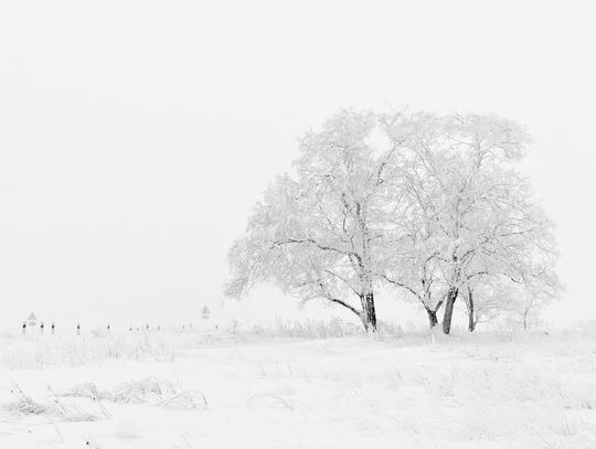 Najbliższe dni bardzo zimne! IMGW ostrzega - temperatura spadnie do -18°C