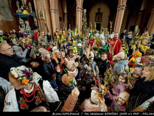 Niedzielne uroczystości w Katedrze św. Jana Ewangelisty w Kwidzynie