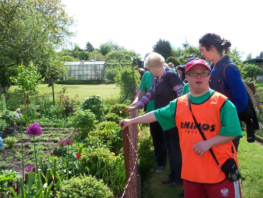 Niepełnosprawni odwiedzili tczewskie ogrody działkowe