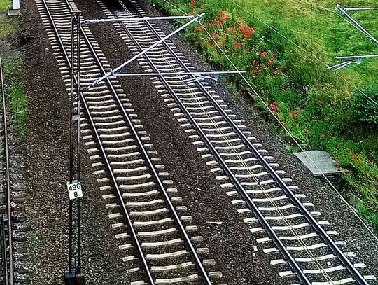 Zdjęcie poglądowe.