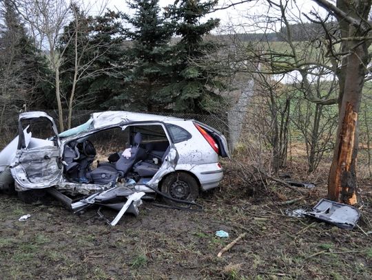 Nissan wjechał prosto w drzewo. Jedna osoba w stanie ciężkim. Policja wyjaśnia okoliczności