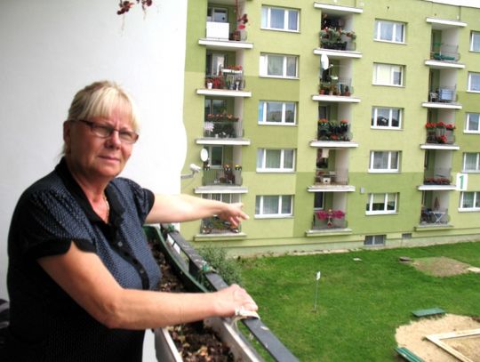 Nocą wyrzucili psa przez balkon