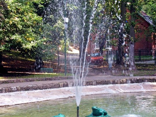 Nowa szansa dla zieleni?