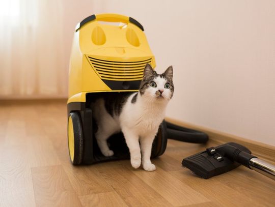 Nowy członek rodziny