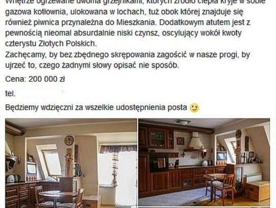 Ogłoszenie tczewianina hitem internetu! „Gdyby Rzym wyglądał, jak nasze Mieszkanie..."