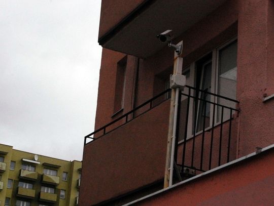 Osiedlowy monitoring na wandali
