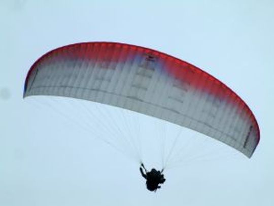 Paralotniarz utknął na drzewie