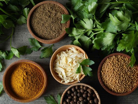 Pieprz ziołowy – właściwości i zastosowanie