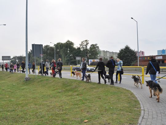 Pierwszy Tczewski Spacer Przyjaźni