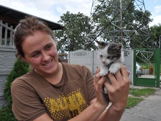 Pieskie życie czworonogów. Coraz więcej zwierząt w schronisku