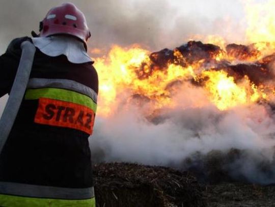 PILNE. Aż sześć ognisk pożaru lasu w Damaszce! Interweniuje pięć zastępów straży