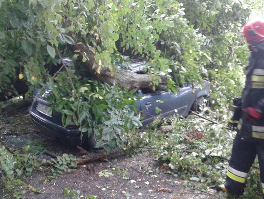 PILNE. Połamane drzewa spadały na auta, tarasowały drogi, niszczyły budynki! Przez powiat przeszła burza z wichurą