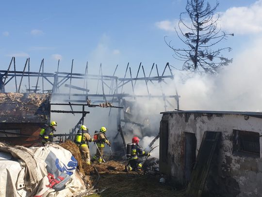 PILNE. Pożar w Czarlinie. Sześć zastępów walczyło z ogniem (ZDJĘCIA) 