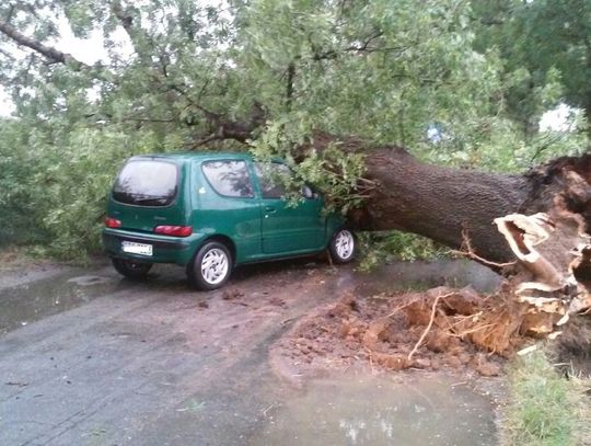 PILNE. Wieje i pada. Drzewo spadło na auto w Rakowcu!