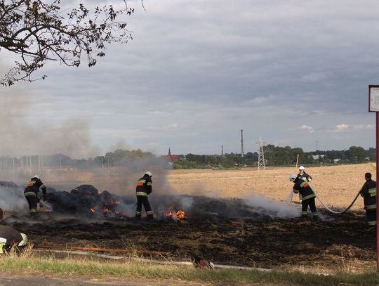 Plaga pożarów w powiecie. Będą kontrole