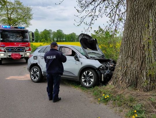 Po pijanemu 67-letni mieszkaniec Tczewa uderzył autem w drzewo w Lichnowach