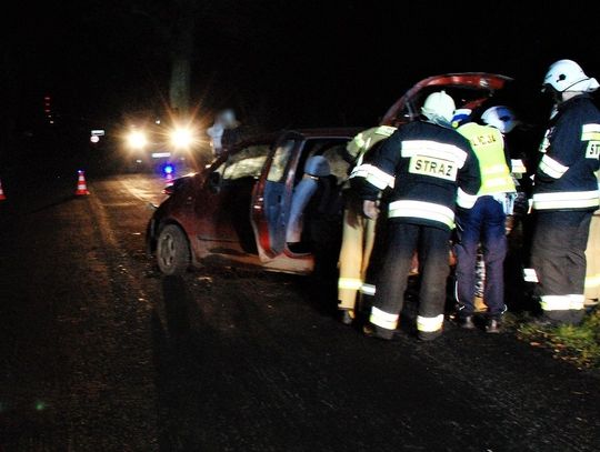 Po pijanemu kierowca uderzył w drzewo...