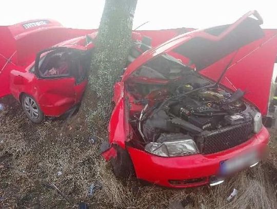 Po tragicznym wypadku w miejscowości Ciepłe - pojawi się ograniczenie prędkości a drzewo zostanie ścięte