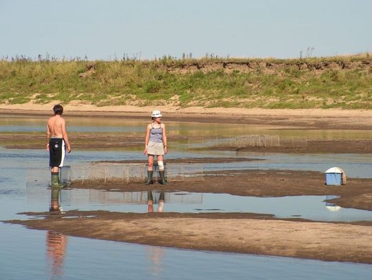 Podglądanie ptaków przez lornetkę
