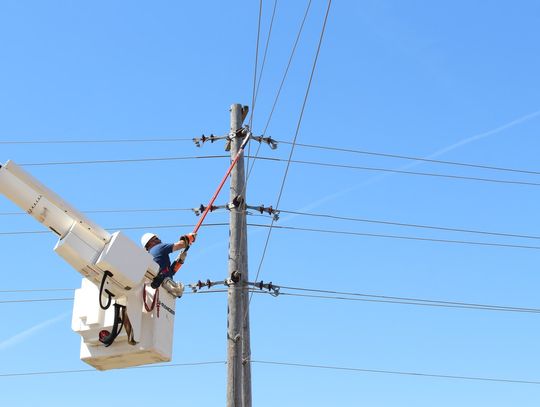 Podnośnik koszowy – „mały dźwig” do pracy na wysokości