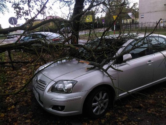 Połamane konary, drzewa przywrócone na drogę. Straż walczy ze skutkami wichury
