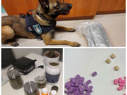 Policjanci przejęli blisko 1,5 kilograma narkotyków i zatrzymali dwóch 23-latków