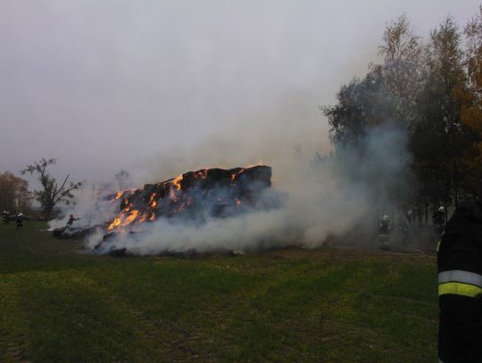 Pożar w sąsiedztwie lasu