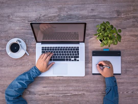 Pozycjonowanie stron 